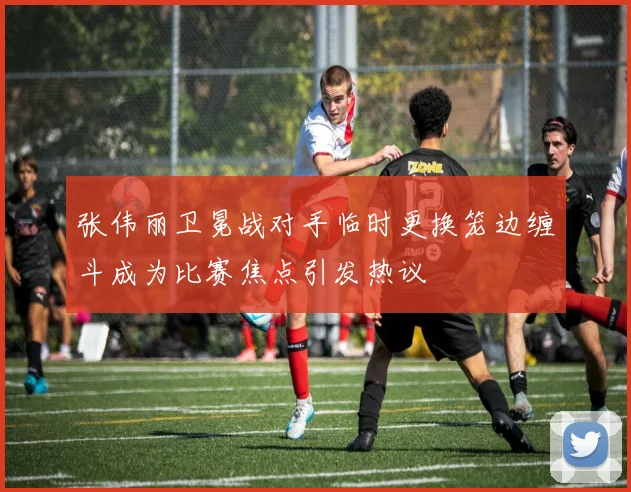 张伟丽卫冕战对手临时更换笼边缠斗成为比赛焦点引发热议