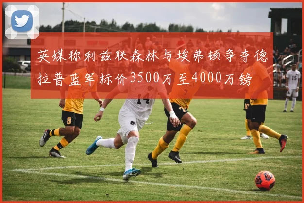 英媒称利兹联森林与埃弗顿争夺德拉普蓝军标价3500万至4000万镑