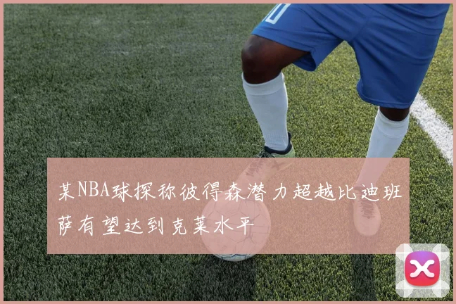 某NBA球探称彼得森潜力超越比迪班萨有望达到克莱水平