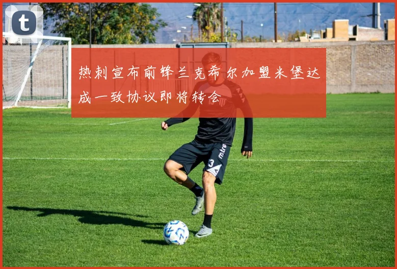 热刺宣布前锋兰克希尔加盟米堡达成一致协议即将转会