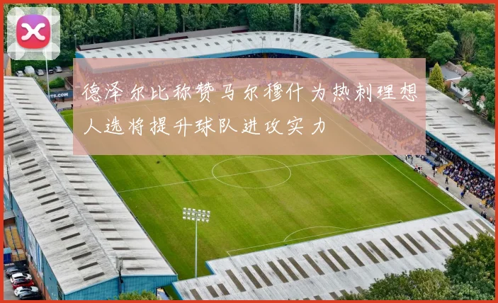 德泽尔比称赞马尔穆什为热刺理想人选将提升球队进攻实力