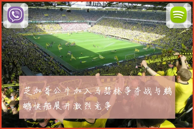芝加哥公牛加入马瑟林争夺战与鹈鹕快船展开激烈竞争