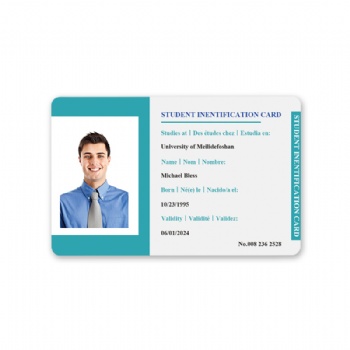 30mil Plastic PVC ID Card With Design Photo